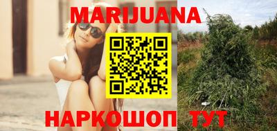 прущие крисы Заводоуковск