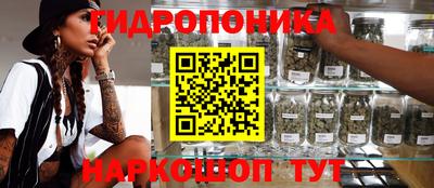 прущие крисы Заводоуковск