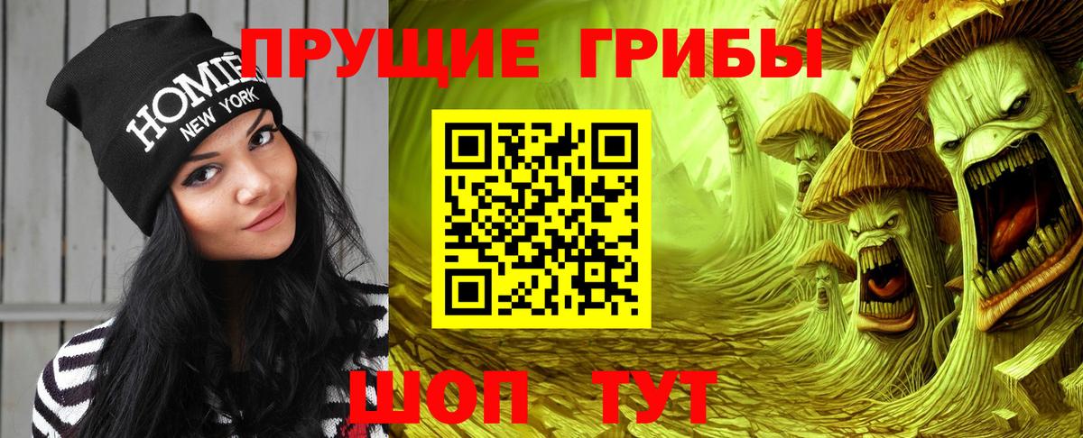 Галлюциногенные грибы Psilocybe  Галлюциногенные грибы мухоморы  Вход с VPN  Лыткарино 