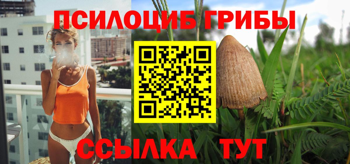 Галлюциногенные грибы мухоморы Лыткарино